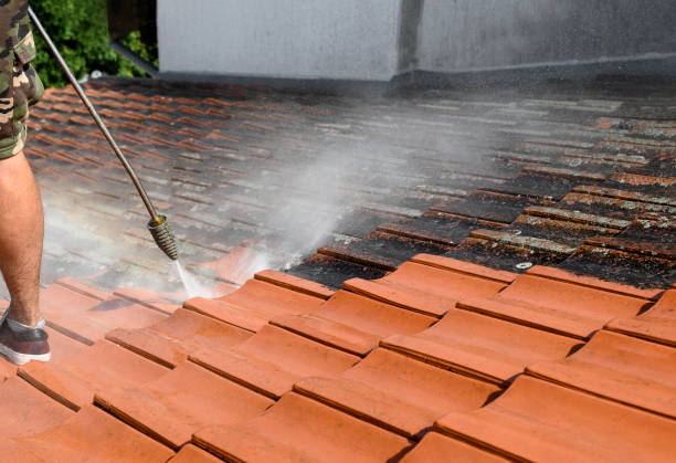 Best Pressure Washing Brick  in Bidwell, OH