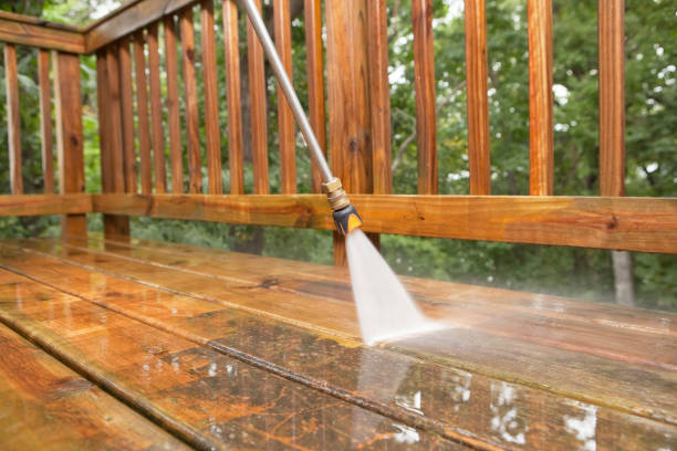Best Pressure Washing Company Near Me  in Bidwell, OH